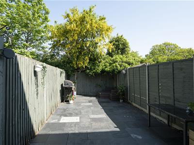 Picture 13